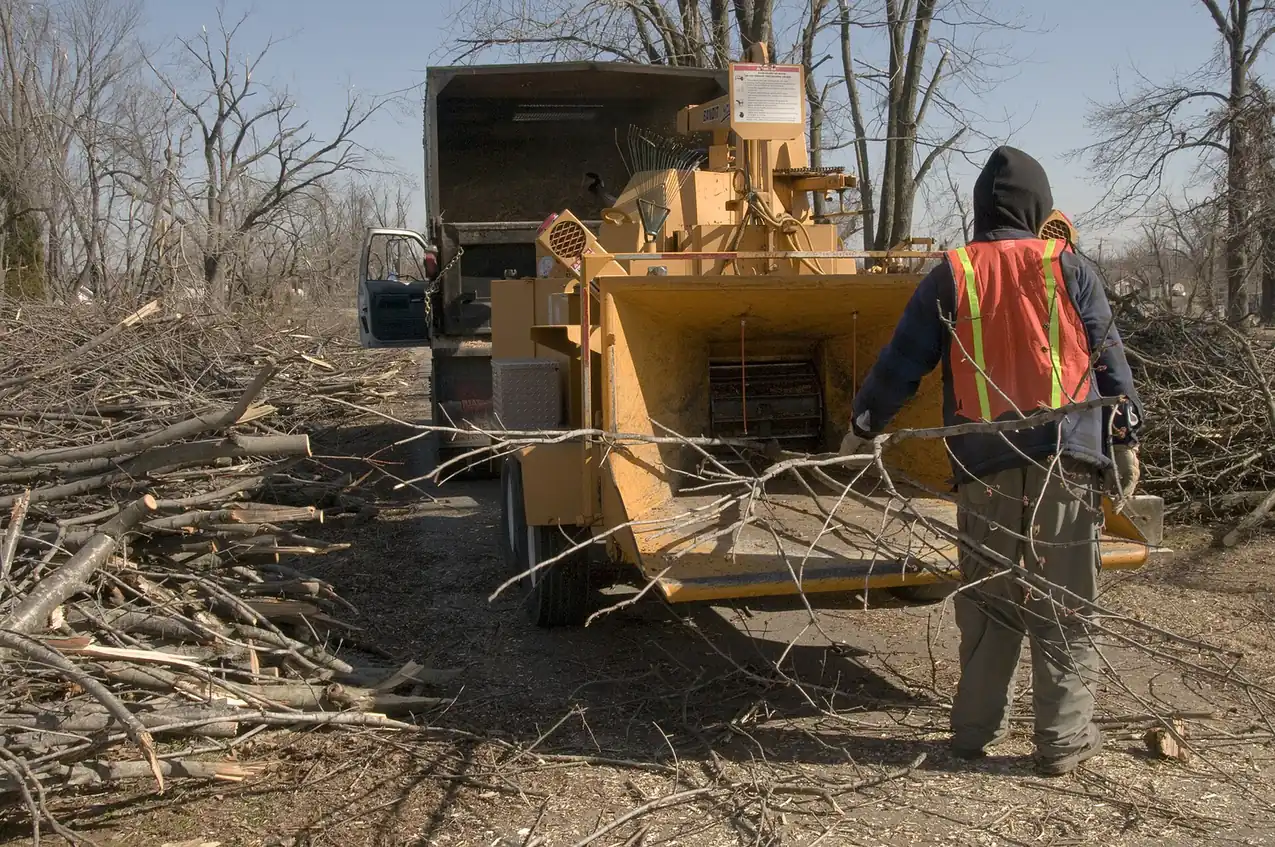 A worker feeding cut branches into a wood chipper