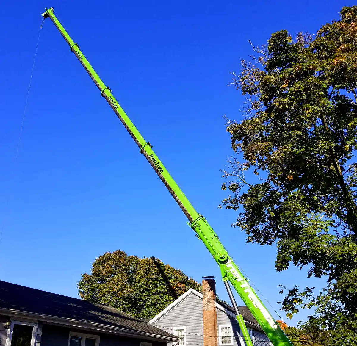 A crane boom raised high over a house on a clear day